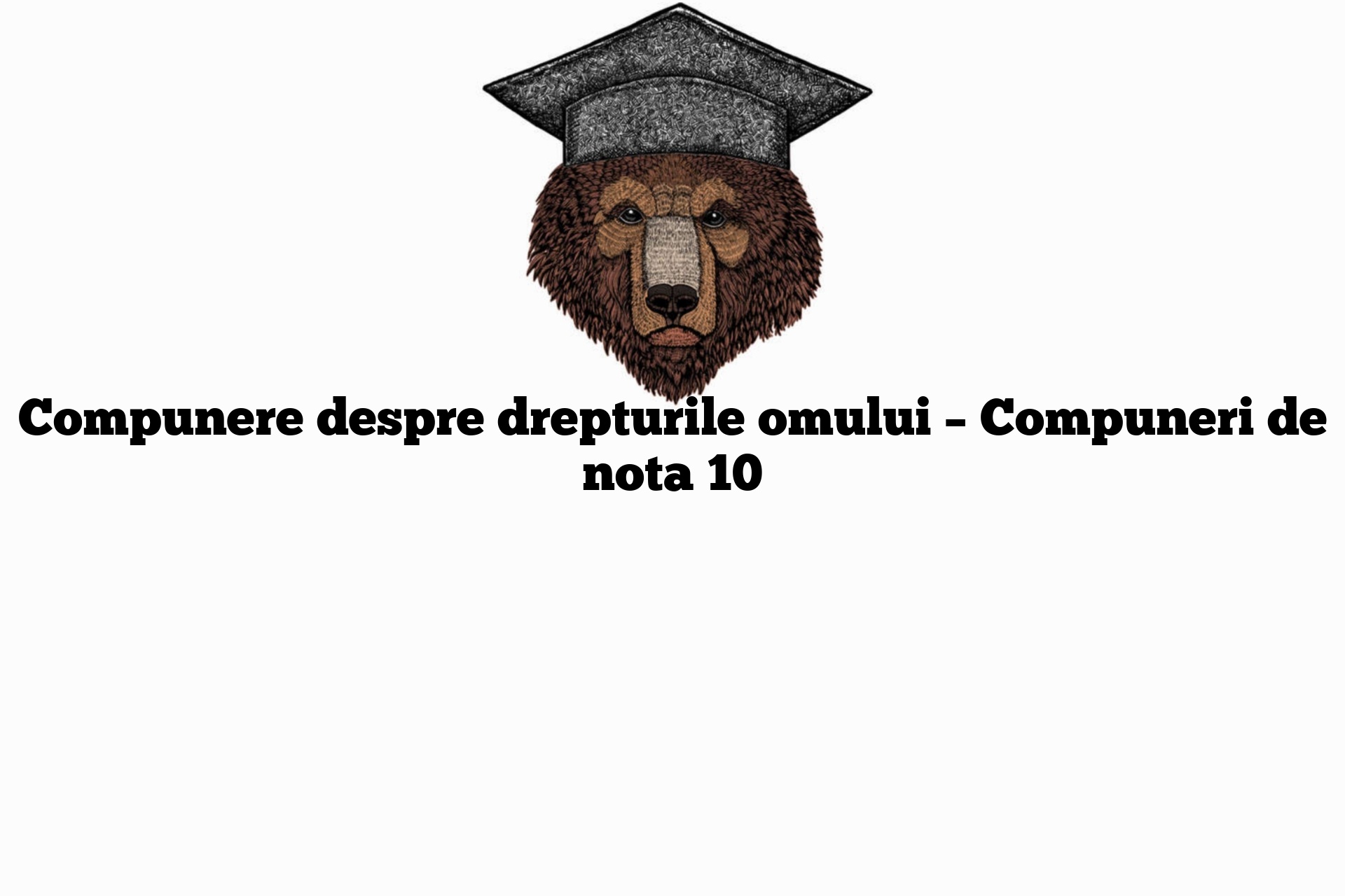 Compunere despre drepturile omului – Compuneri de nota 10