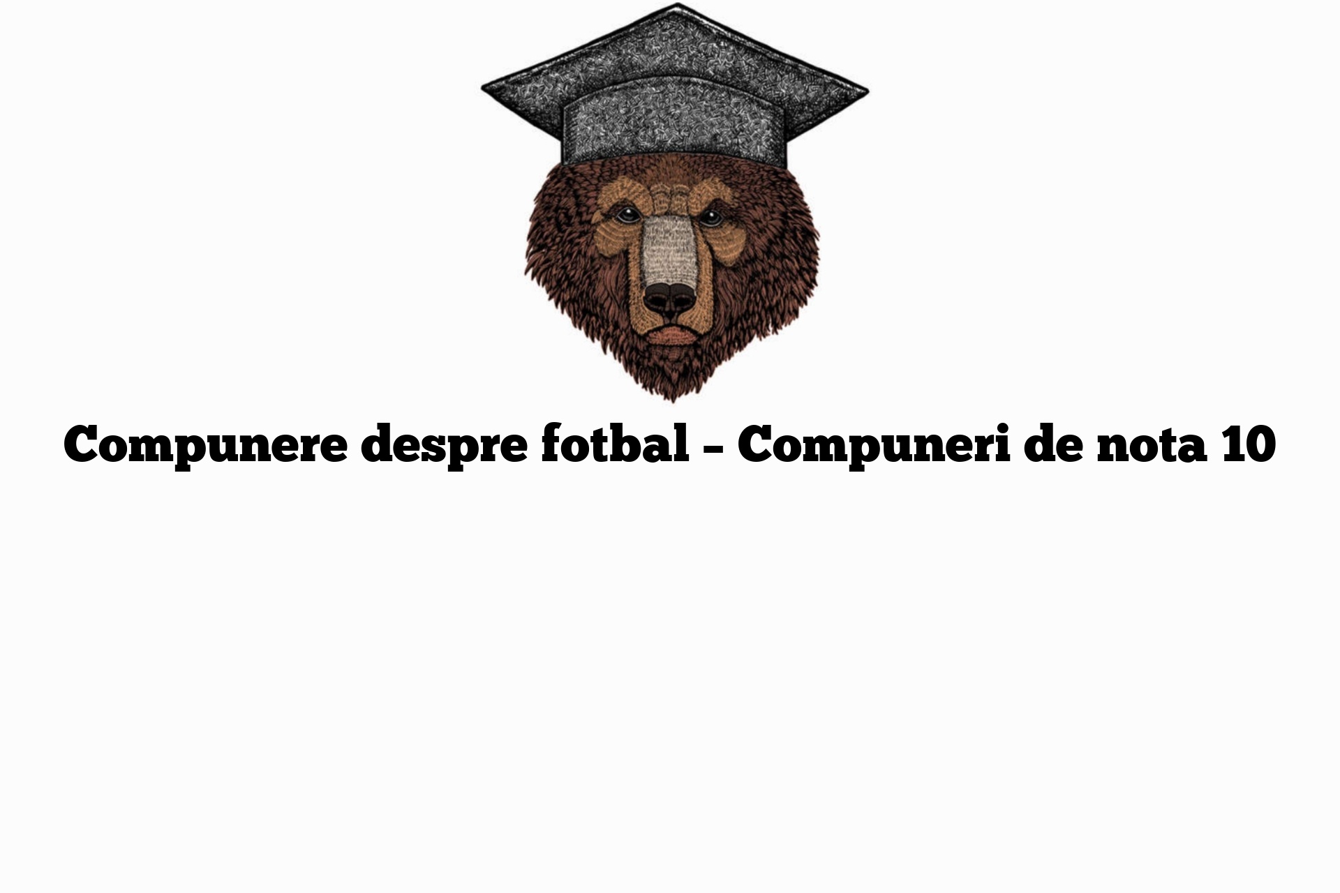 Compunere despre fotbal – Compuneri de nota 10