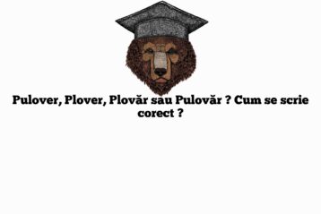 Pulover, Plover, Plovăr sau Pulovăr ? Cum se scrie corect ?