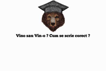 Vino sau Vin-o ? Cum se scrie corect ?